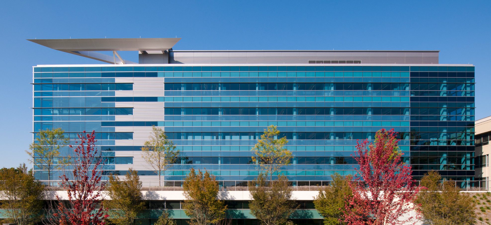 Modern glass building with autumn trees.